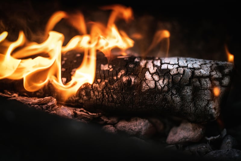 Vegetarian BBQ